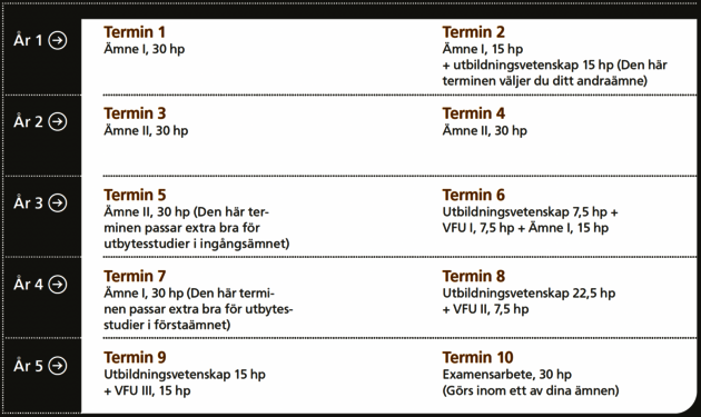 Terminsupplägg ÄLU 