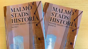 Böckerna Malmö stads historia