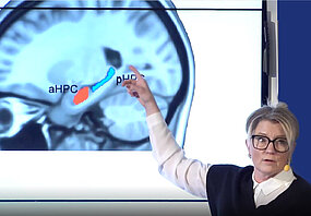 Carola Wiklund-Hörnqvist